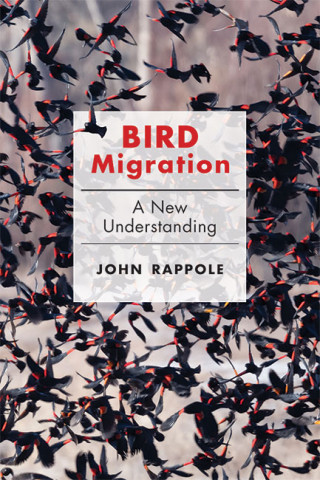 BIRD MIGRATION. A NEW UNDERSTANDING