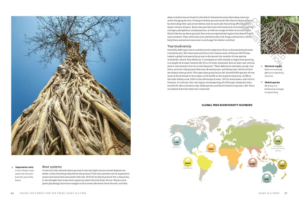 THE WORLD ATLAS OF TREES AND FORESTS. EXPLORING EARTH'S FOREST ECOSYSTEMS 2