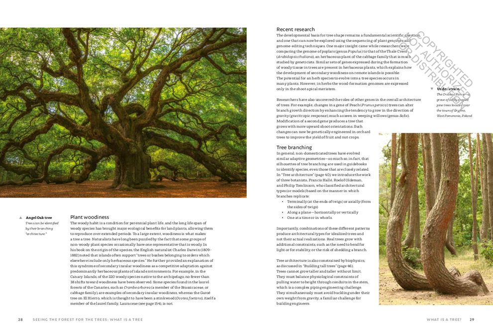 THE WORLD ATLAS OF TREES AND FORESTS. EXPLORING EARTH'S FOREST ECOSYSTEMS 3