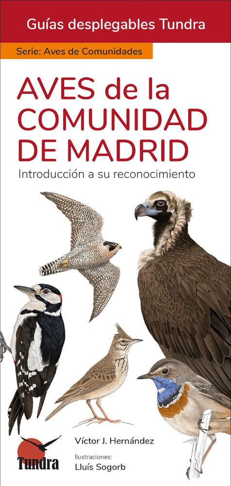 AVES DE LA COMUNIDAD DE MADRID. INTRODUCCIÓN A LAS ESPECIES MÁS FRECUENTES. GUÍAS DESPLEGABLES TUNDRA