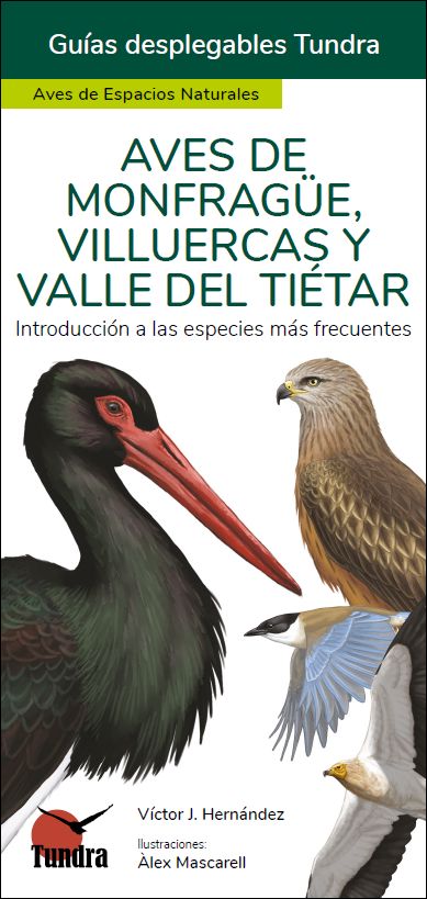 AVES DE MONFRAGÜE, VILLUERCAS Y VALLE DEL TIÉTAR. INTRODUCCIÓN A LAS ESPECIES MÁS FRECUENTES. GUÍAS DESPLEGABLES TUNDRA
