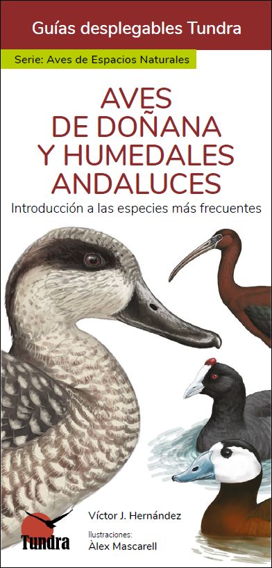 AVES DE DOÑANA Y HUMEDALES ANDALUCES. INTRODUCCIÓN A LAS ESPECIES MÁS FRECUENTES. GUÍAS DESPLEGABLES TUNDRA
