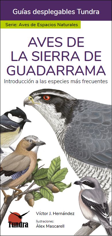AVES DE LA SIERRA DE GUADARRAMA. INTRODUCCIÓN A LAS ESPECIES MÁS FRECUENTES. GUÍAS DESPLEGABLES TUNDRA