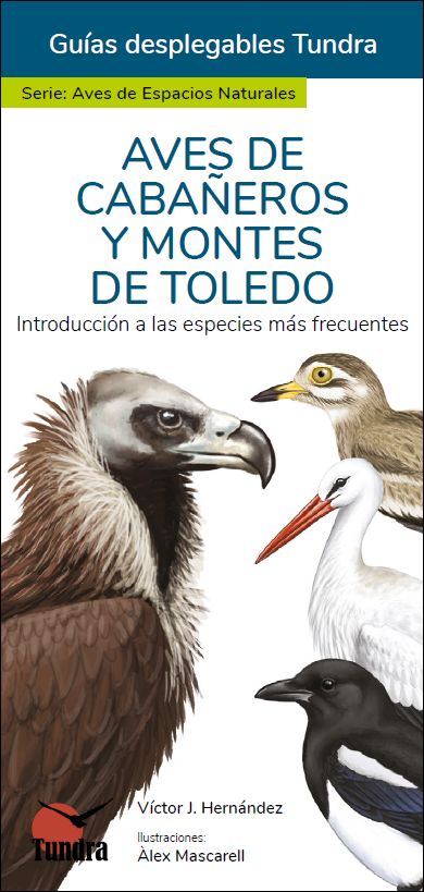 AVES DE CABAÑEROS Y MONTES DE TOLEDO. INTRODUCCIÓN A LAS ESPECIES MÁS FRECUENTES. GUÍAS DESPLEGABLES TUNDRA