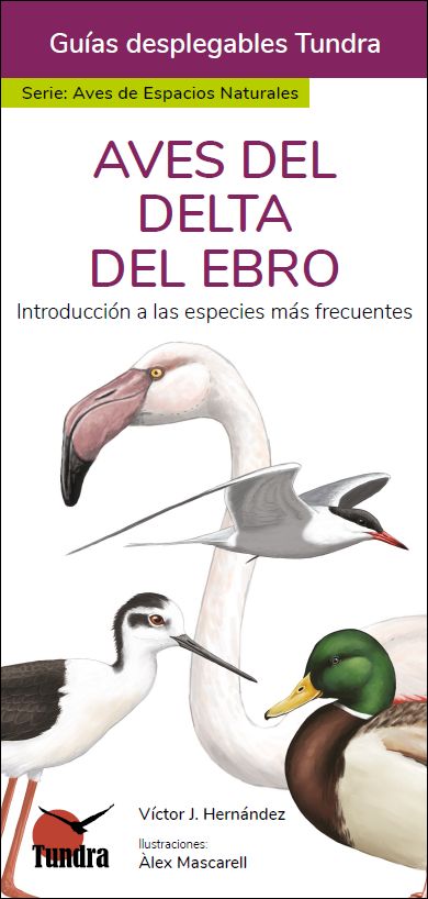 AVES DEL DELTA DEL EBRO. INTRODUCCIÓN A LAS ESPECIES MÁS FRECUENTES. GUÍAS DESPLEGABLES TUNDRA