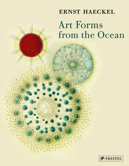 ART FORMS FROM THE OCEAN 1