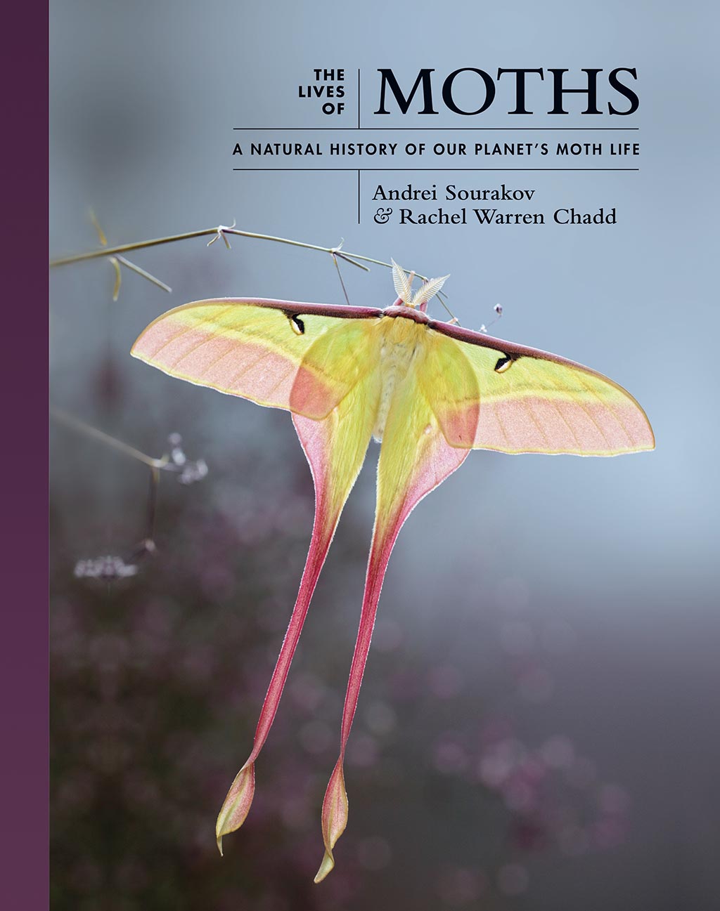 THE LIVES OF MOTHS. A NATURAL HISTORY OF OUR PLANET'S MOTH LIFE 1