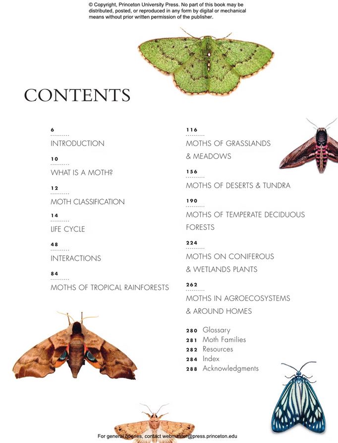 THE LIVES OF MOTHS. A NATURAL HISTORY OF OUR PLANET'S MOTH LIFE 2