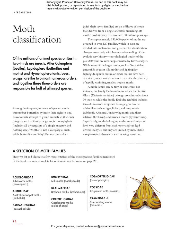 THE LIVES OF MOTHS. A NATURAL HISTORY OF OUR PLANET'S MOTH LIFE 4