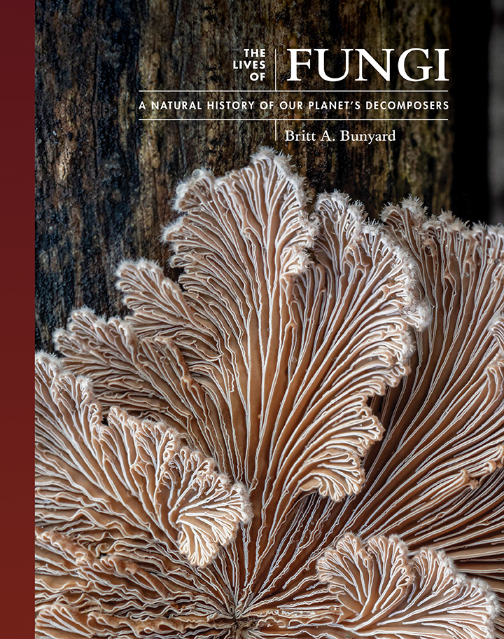 THE LIVES OF FUNGI. A NATURAL HISTORY OF OUR PLANET'S DECOMPOSERS