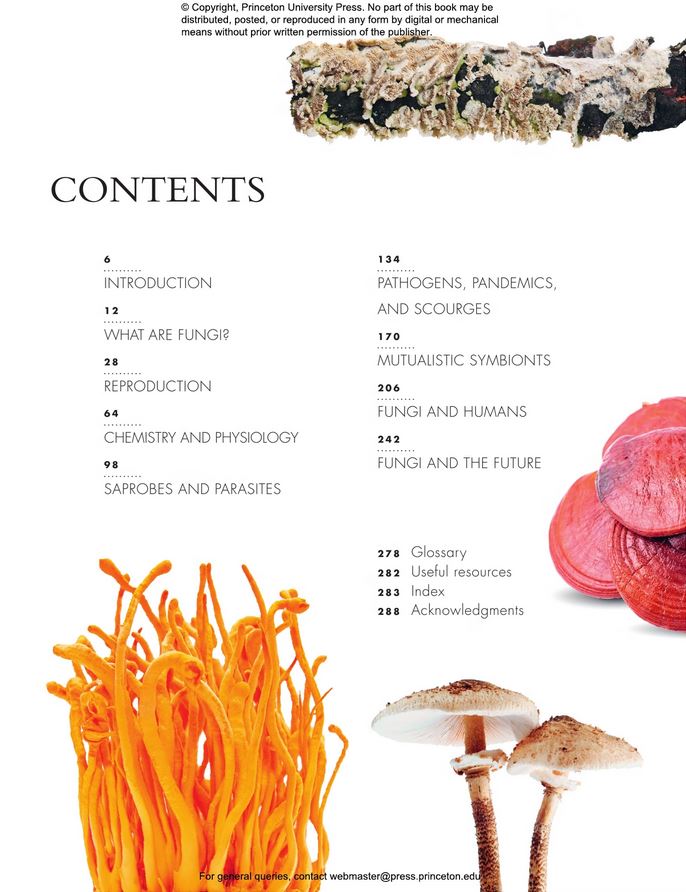 THE LIVES OF FUNGI. A NATURAL HISTORY OF OUR PLANET'S DECOMPOSERS 2