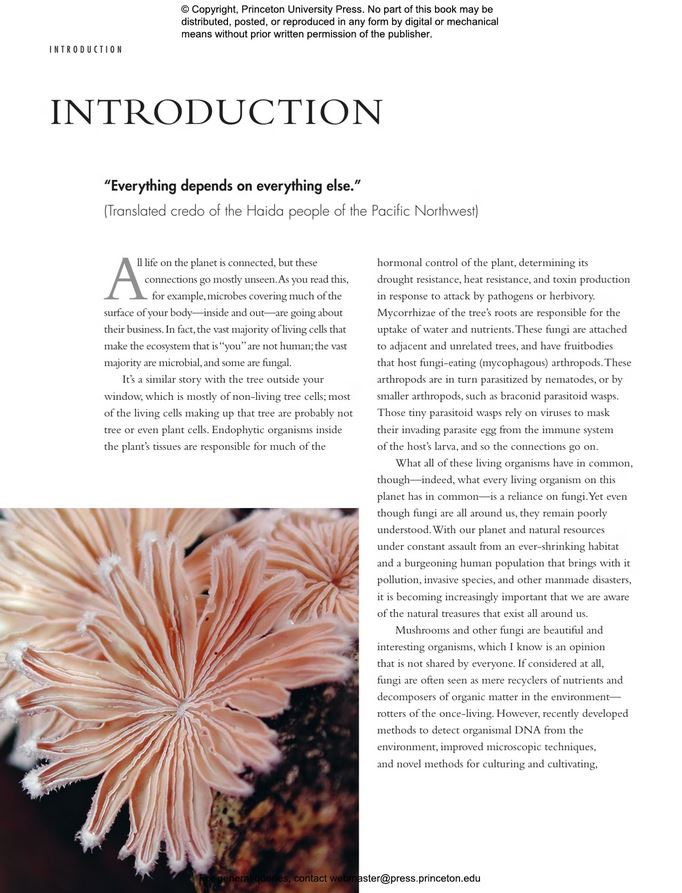 THE LIVES OF FUNGI. A NATURAL HISTORY OF OUR PLANET'S DECOMPOSERS 3