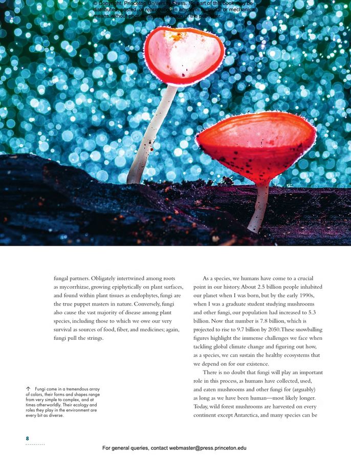 THE LIVES OF FUNGI. A NATURAL HISTORY OF OUR PLANET'S DECOMPOSERS 5