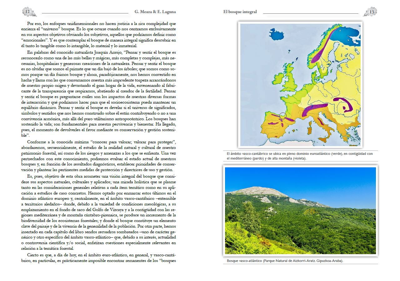 EL BOSQUE INTEGRAL 2