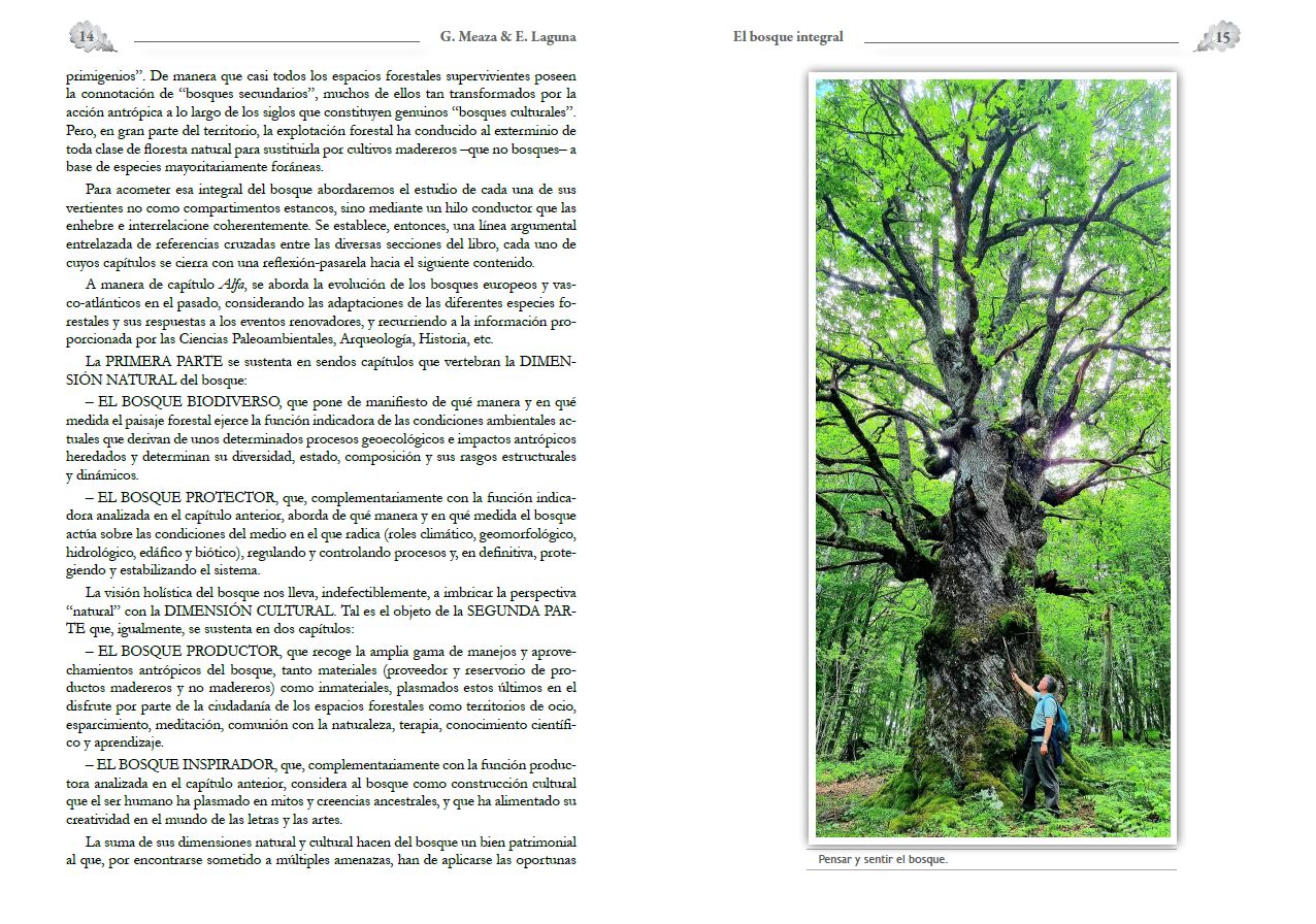 EL BOSQUE INTEGRAL 3