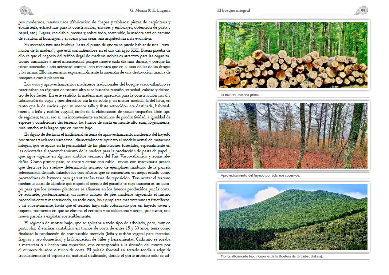 EL BOSQUE INTEGRAL 4