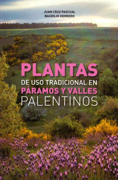 PLANTAS DE USO TRADICIONAL EN PÁRAMOS Y VALLES PALENTINOS 1