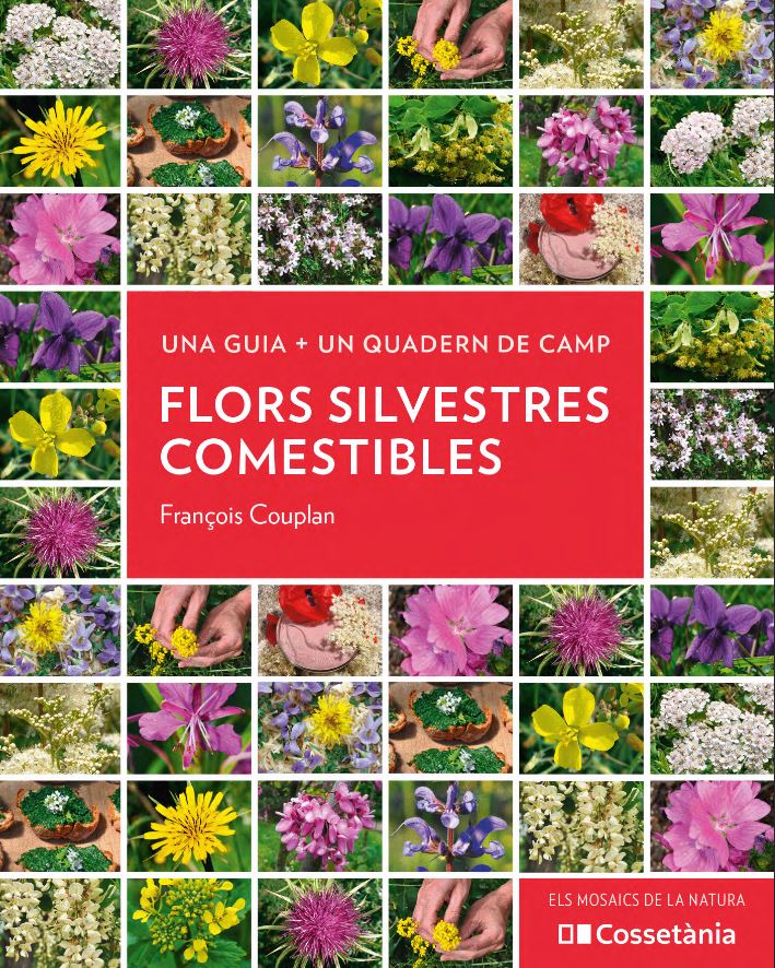 FLORS SILVESTRES COMESTIBLES. UNA GUIA + UN QUADERN DE CAMP