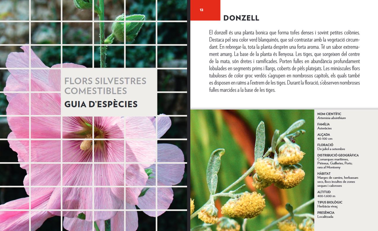 FLORS SILVESTRES COMESTIBLES. UNA GUIA + UN QUADERN DE CAMP 3