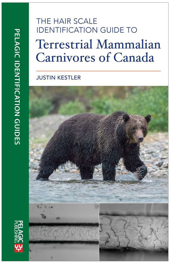 THE HAIR SCALE IDENTIFICATION GUIDE TO TERRESTRIAL CARNIVORES OF CANADA
