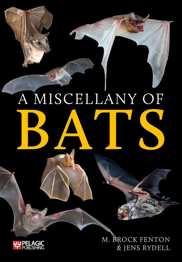 A MISCELLANY OF BATS