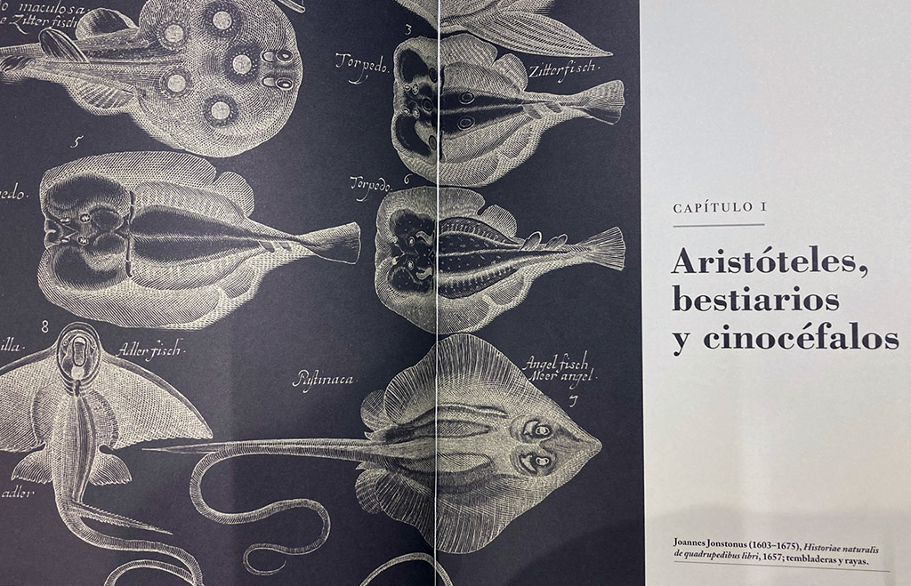 LA CLASIFICACIÓN DE LOS ANIMALES. UN ESTUDIO ILUSTRADO 3