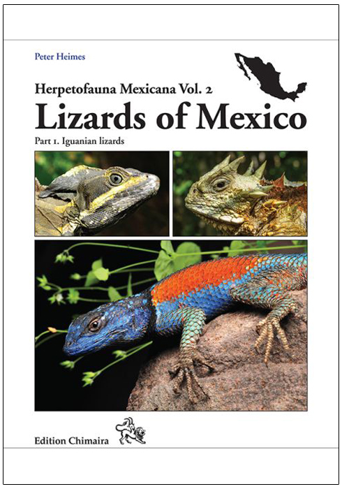LIZARDS OF MEXICO PART 1 IGUANIAN LIZARDS