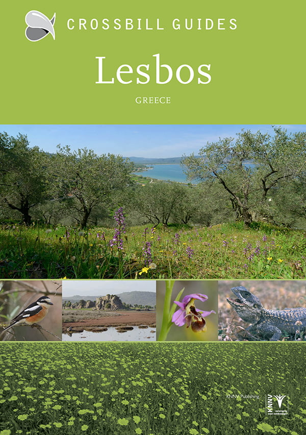 CROSSBILL GUIDES. LESBOS GREECE