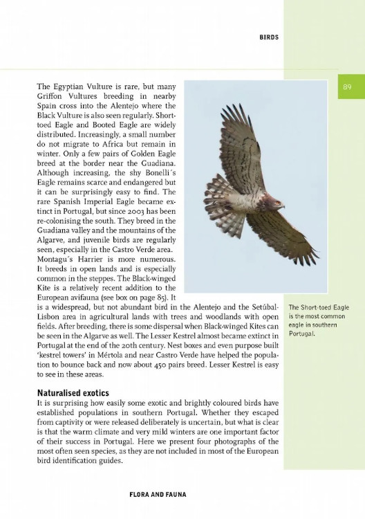 CROSSBILL NATURE GUIDES SOUTHERN PORTUGAL. FROM LISBON TO THE ALGARVE 2
