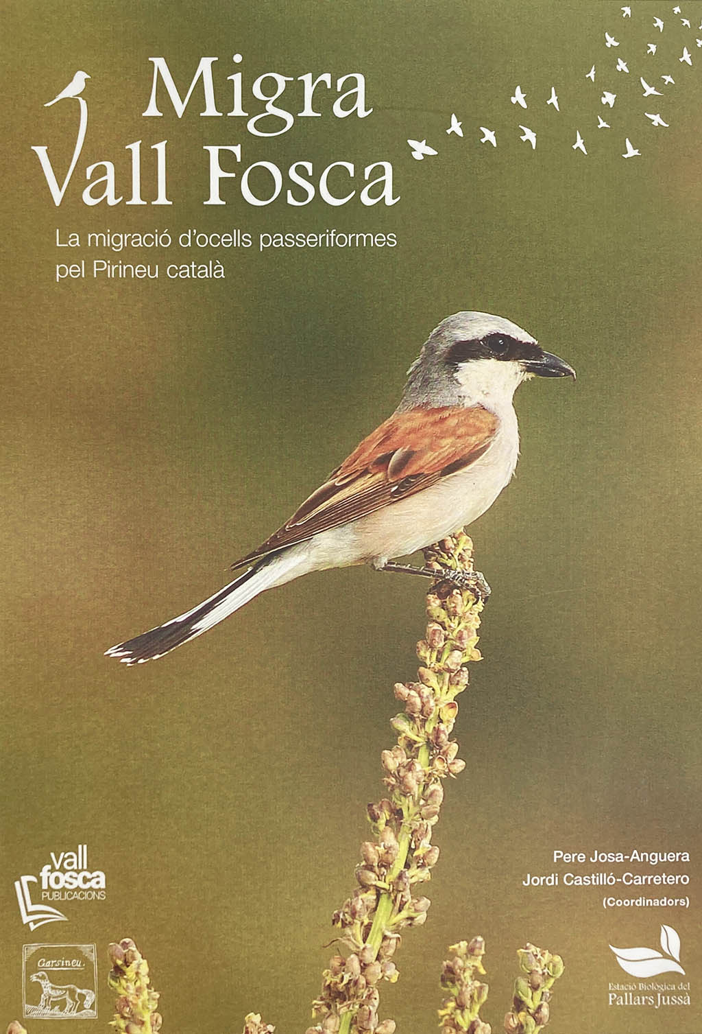 MIGRA VALL FOSCA. LA MIGRACIÓ D\'OCELLS PASSERIFORMES PEL PIRINEU CATALÀ 1