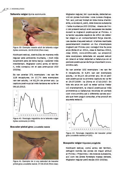 MIGRA VALL FOSCA. LA MIGRACIÓ D\'OCELLS PASSERIFORMES PEL PIRINEU CATALÀ 5