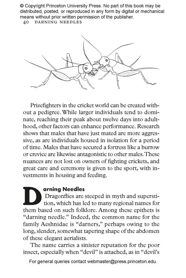 INSECTPEDIA. A BRIEF COMPENDIUM OF INSECT LORE 2