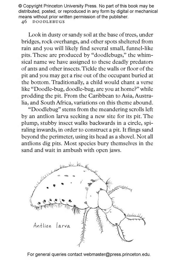 INSECTPEDIA. A BRIEF COMPENDIUM OF INSECT LORE 3