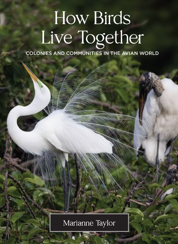 HOW BIRDS LIVE TOGETHER. COLONIES AND COMMUNITIES IN THE AVIAN WORLD 1