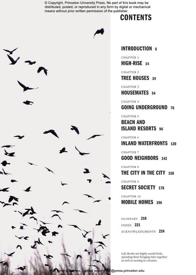 HOW BIRDS LIVE TOGETHER. COLONIES AND COMMUNITIES IN THE AVIAN WORLD 2