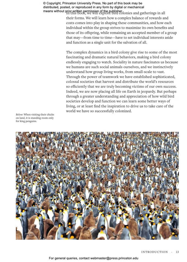 HOW BIRDS LIVE TOGETHER. COLONIES AND COMMUNITIES IN THE AVIAN WORLD 5