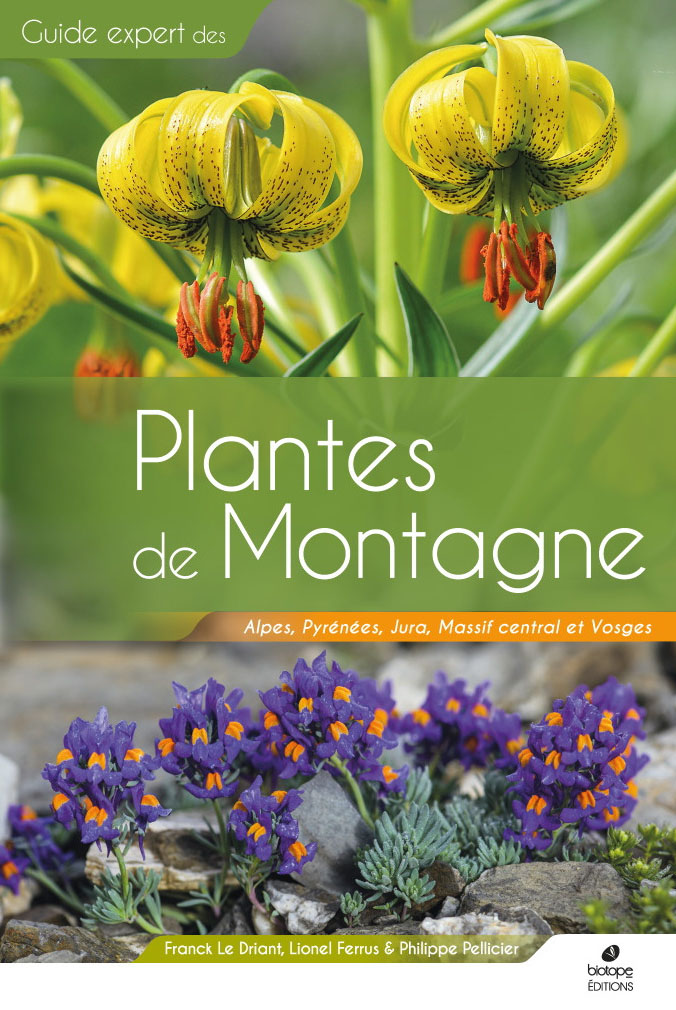 PLANTES DE MONTAGNE 1