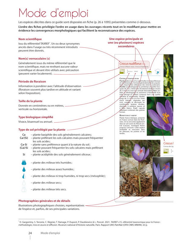 PLANTES DE MONTAGNE 3