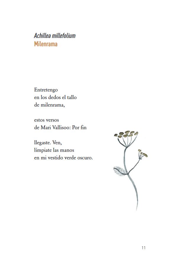 FLORES 2