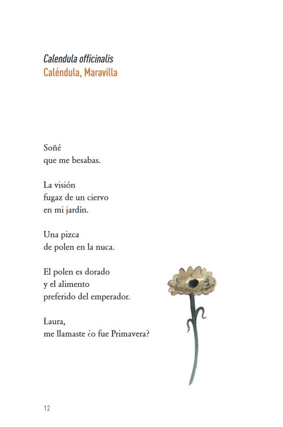 FLORES 3