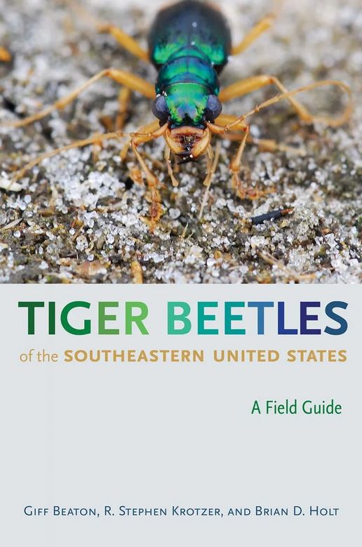 TIGER BEETLES OF THE SOUTHEASTERN UNITED STATES. A FIELD GUIDE