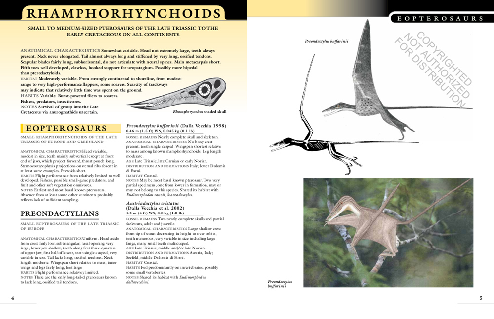 THE PRINCETON FIELD GUIDE TO PTEROSAURS 4