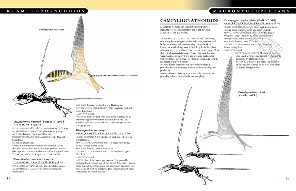 THE PRINCETON FIELD GUIDE TO PTEROSAURS 5