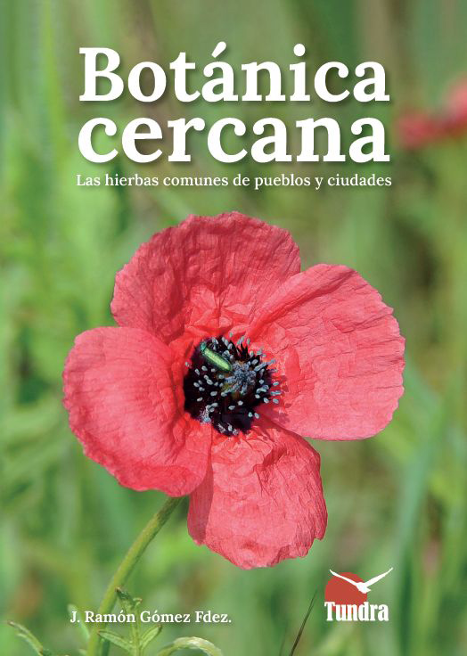 BOTÁNICA CERCANA, LAS HIERBAS COMUNES DE PUEBLOS Y CIUDADES