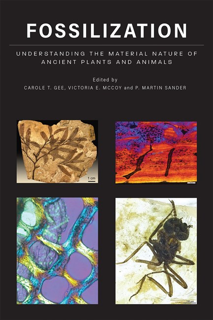 FOSSILIZATION. UNDERSTANDING THE MATERIAL NATURE OF OF ANCIENT PLANTS AND ANIMALS
