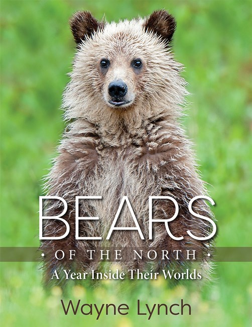 BEARS OF THE NORTH: A YEAR INSIDE THEIR WORLDS
