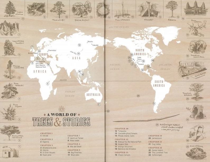 TREE STORY. THE HISTORY OF THE WORLD WRITTEN IN RINGS 2