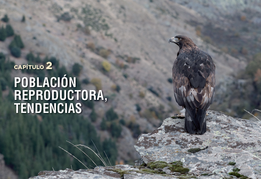 ÁGUILAS REALES Y HUMANOS EXPANSIÓN A PAISAJES DOMINADOS POR HUMANOS/GOLDEN EAGLES AND HUMANS EXPANSION TO HUMAN DOMINATED LANDSCAPES 2