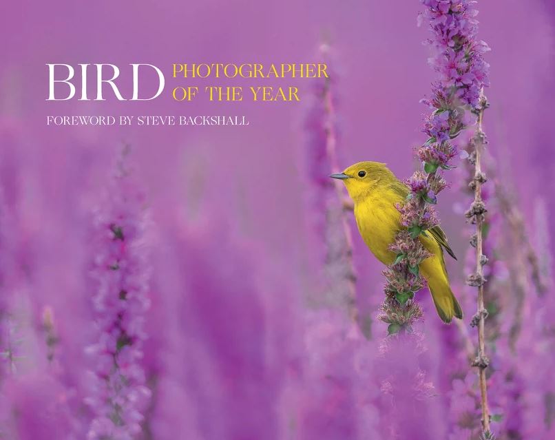 BIRD PHOTOGRAPHER OF THE YEAR. COLLECTION 7