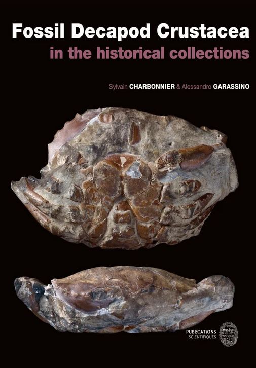 FOSSIL DECAPOD CRUSTACEA IN THE HISTORICAL COLLECTION